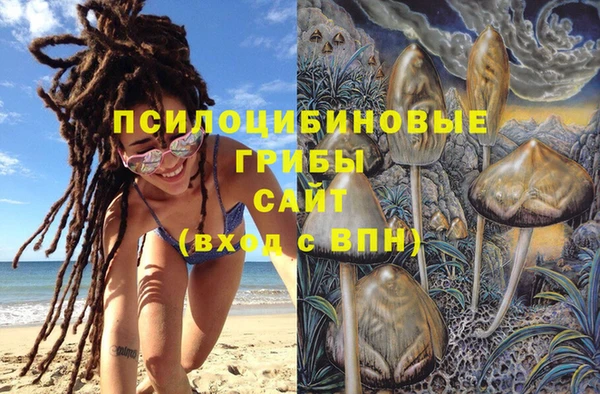трава Михайловск