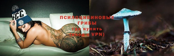 трава Михайловск