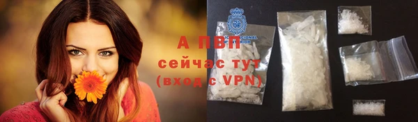 дмт Михайлов