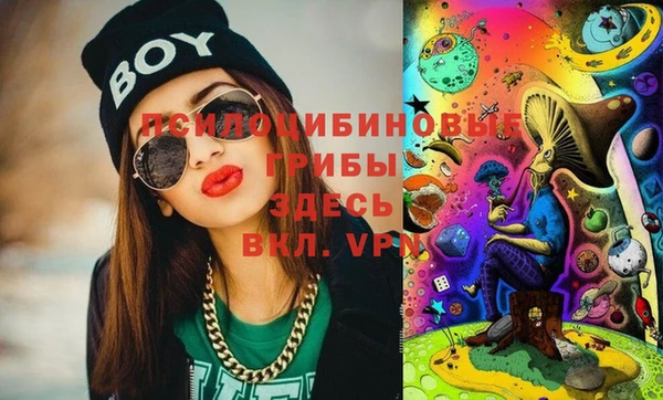 дмт Михайлов